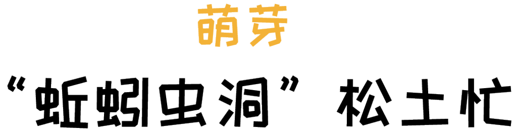 阿飞森林主题乐园 | 种子生长之旅的室内设计亮点-9
