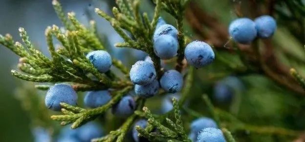 廣州杜松醫療診所 | 溫暖弧線與專業醫療的完美融合-41