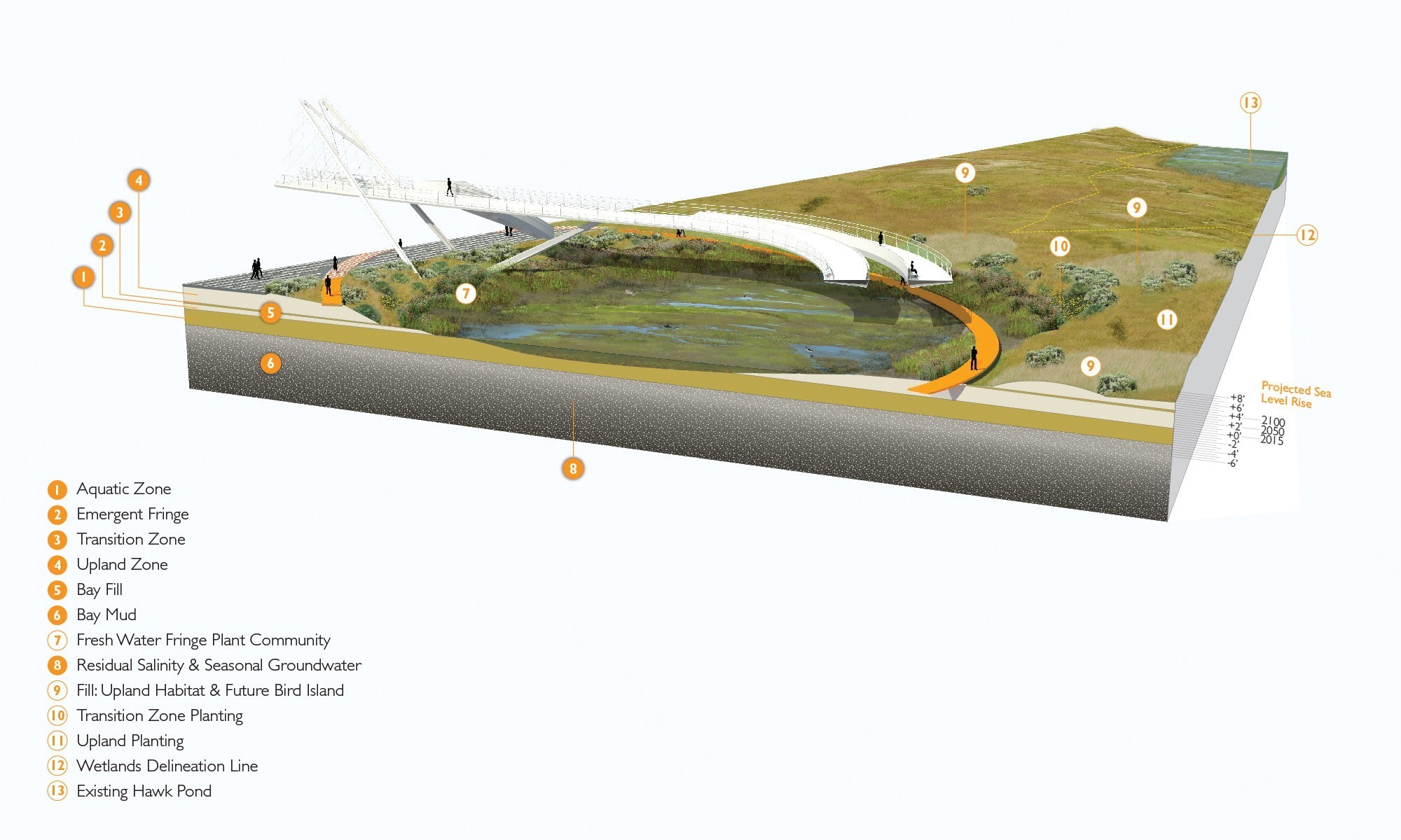 帕洛阿尔托的新 Adobe 溪行人和自行车桥-26