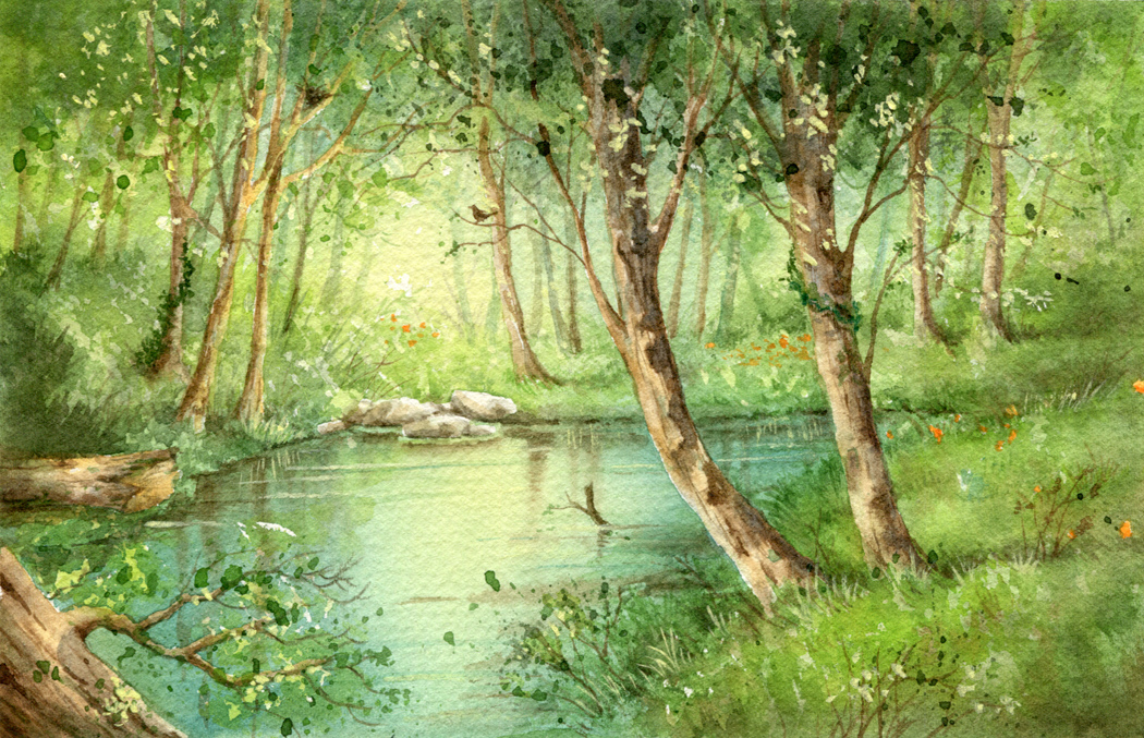 世界上的树木丨Sylvie D.-91