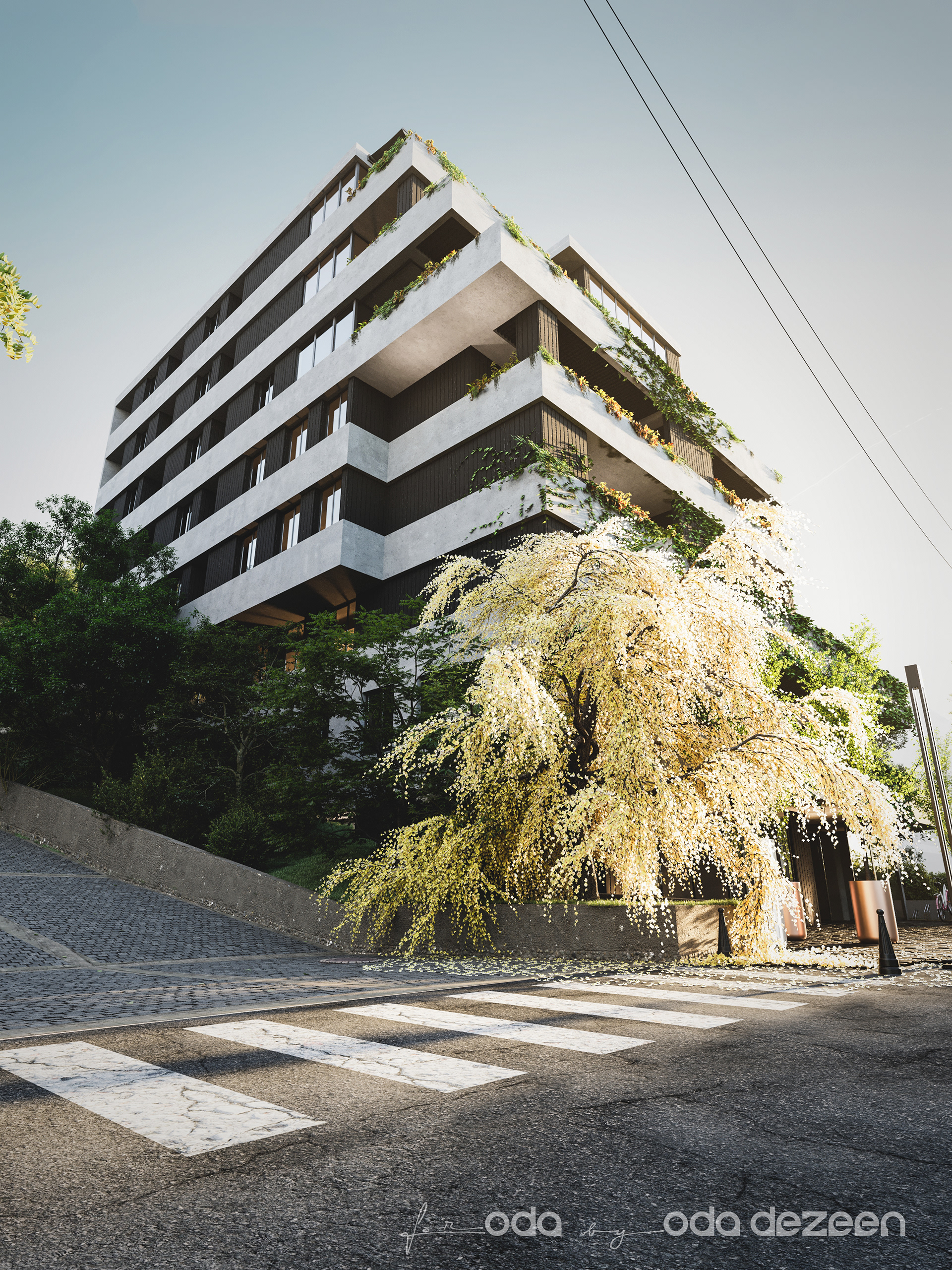 Gamrekeli 公寓丨ODA-5