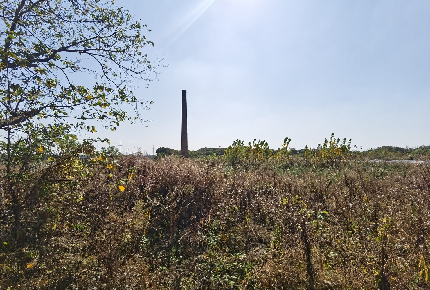 绍兴黄酒小镇接待室丨中国绍兴丨gad-55