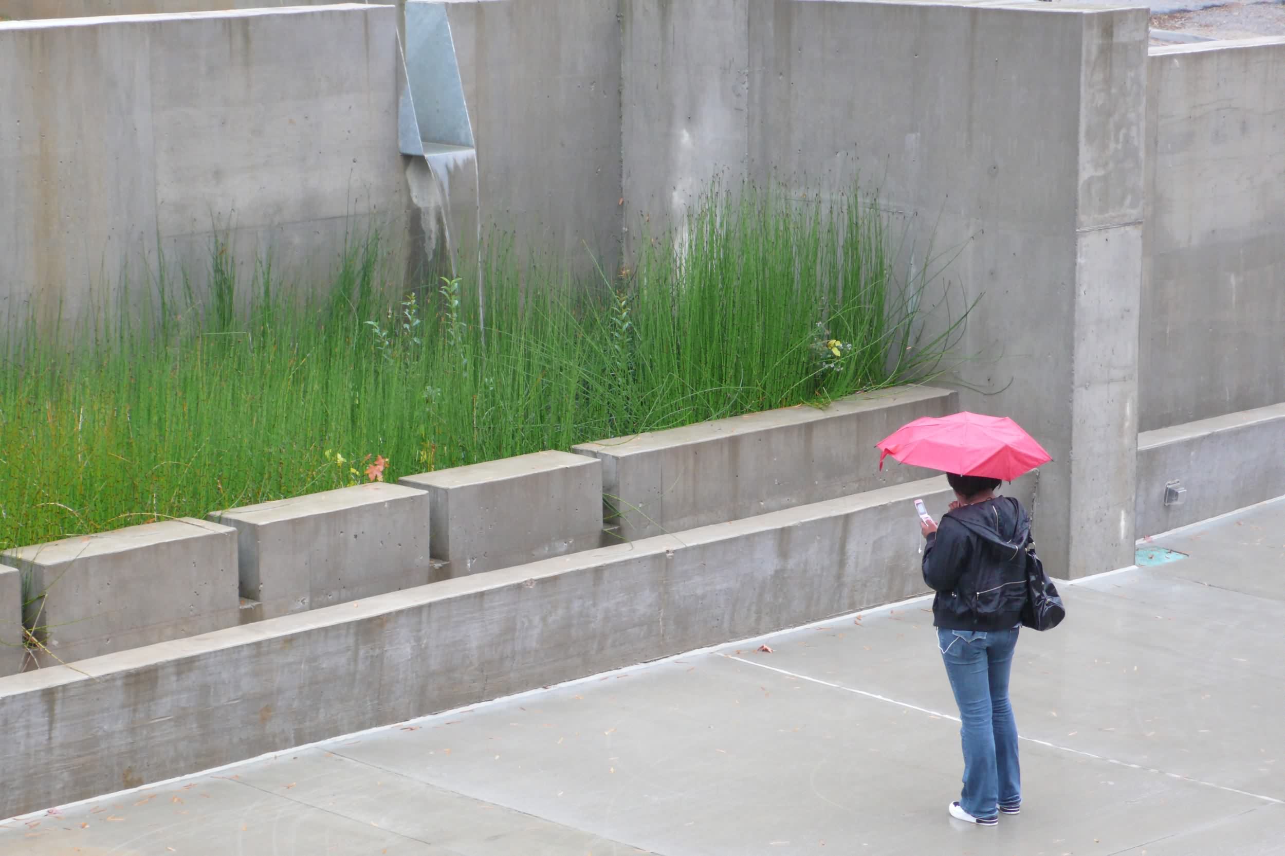 埃弗里特大学雨水庭院 averett university stormwater court by siteworks studio-9