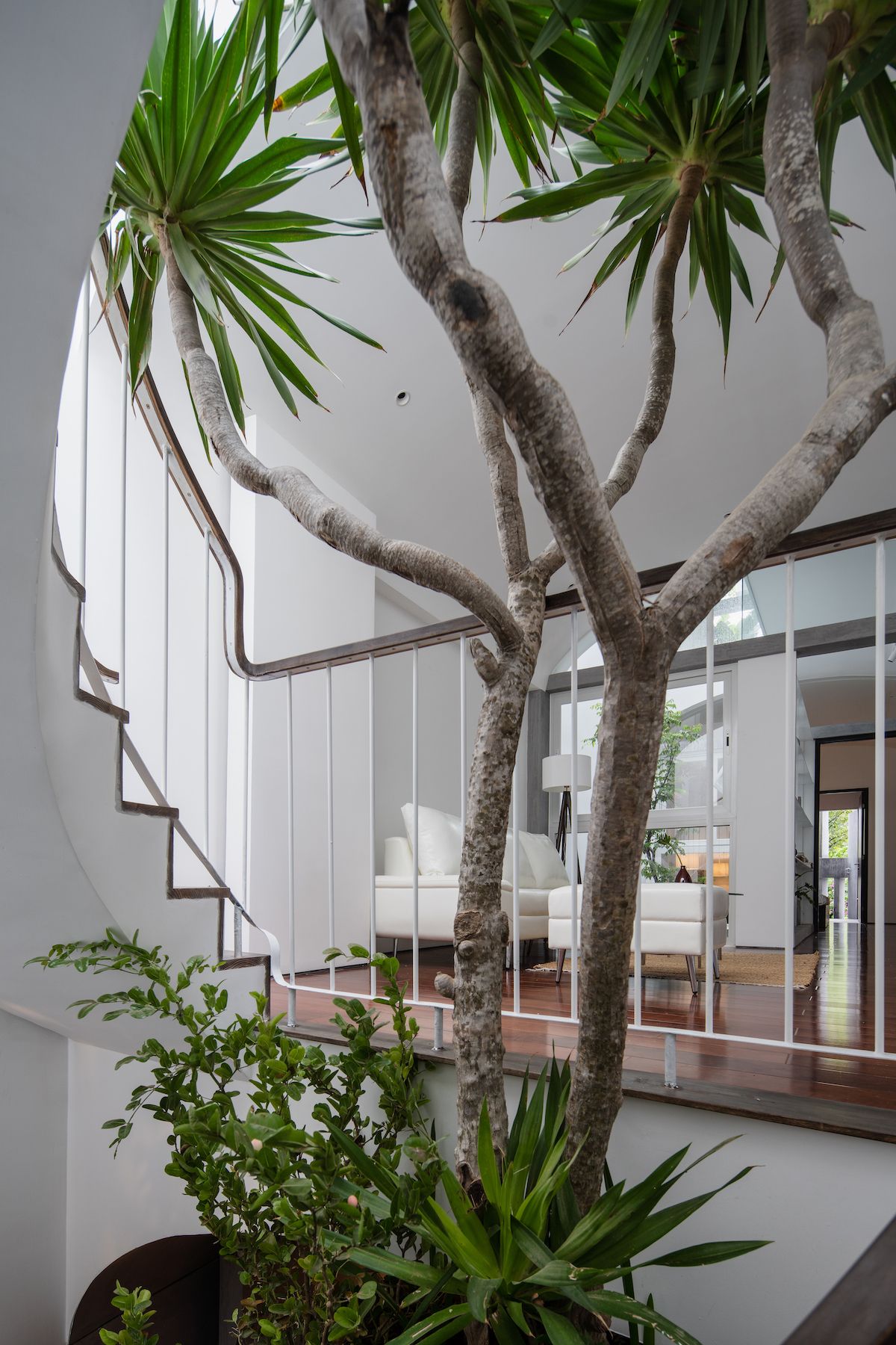 自然与私密空间的共生设计-38