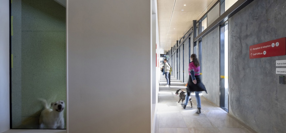 黑镇动物收容中心丨澳大利亚悉尼丨Sam Crawford Architects-35