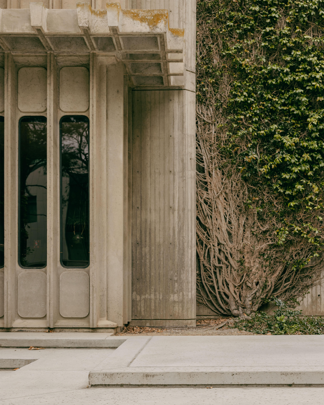 皇家国家剧院丨英国伦敦丨Denys Lasdun-104