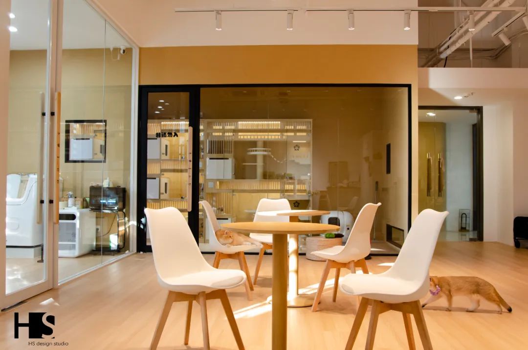 HS 新作 小猫一二只丨中国杭州丨绘狩-28