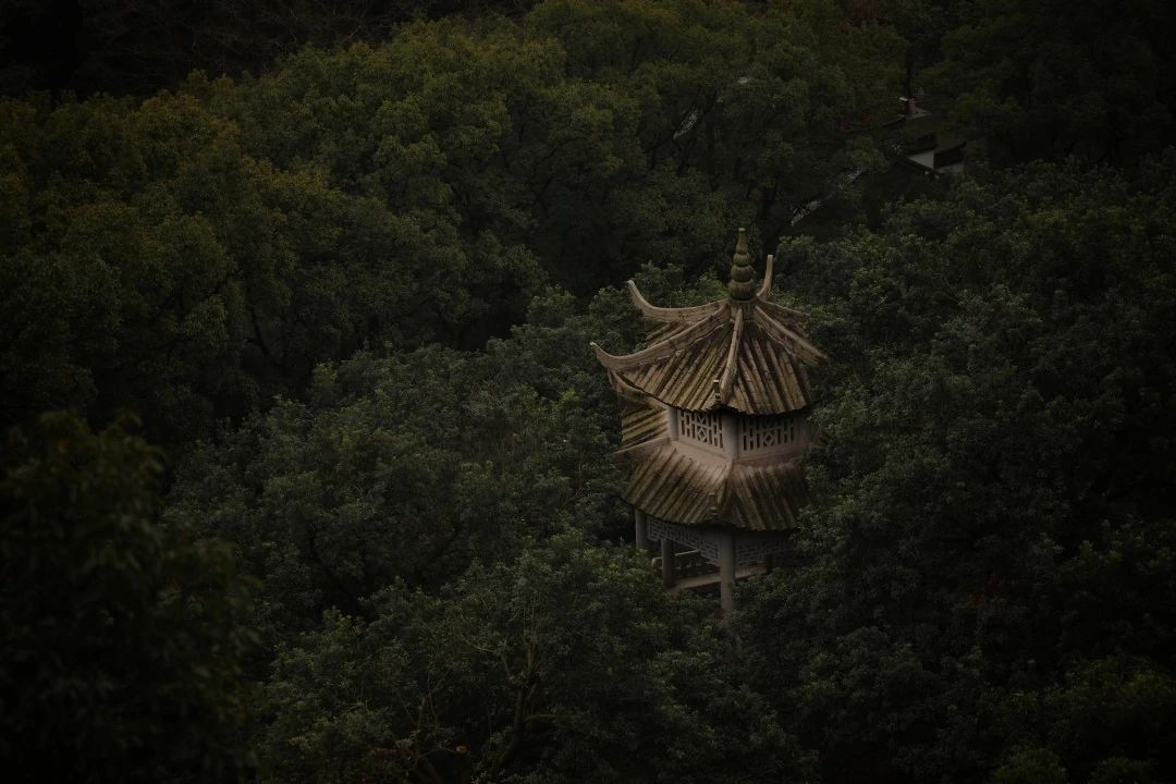 广东2000㎡花园别墅丨中国广东丨深圳太合南方设计-0