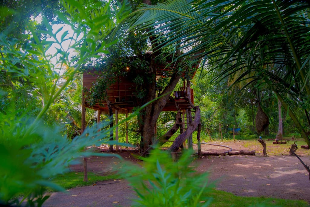 高架木屋Eco  Retreat住宿-31