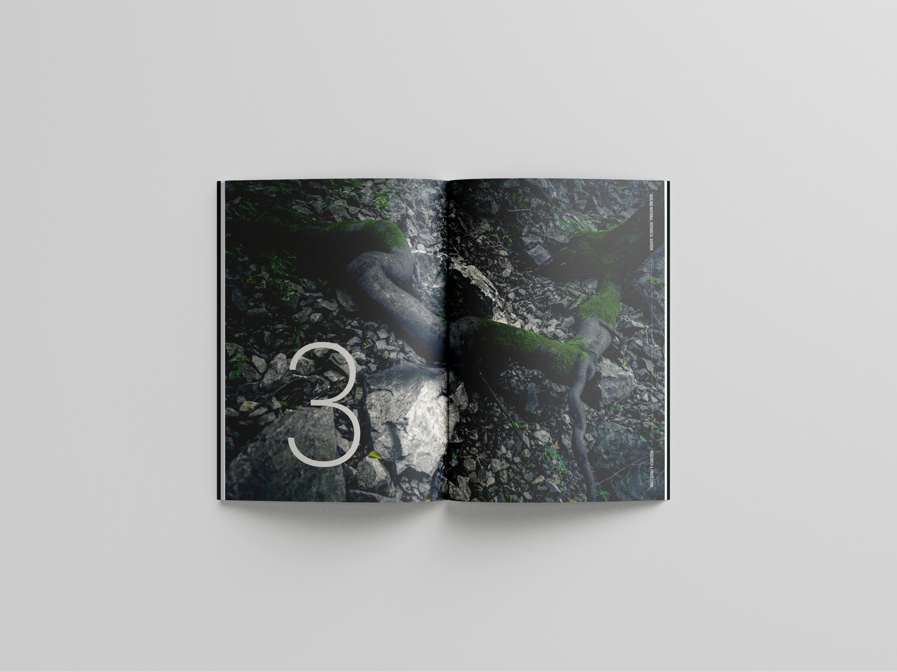 秦岭国家植物园摄影及宣传册设计丨美格锐西安办公室-12