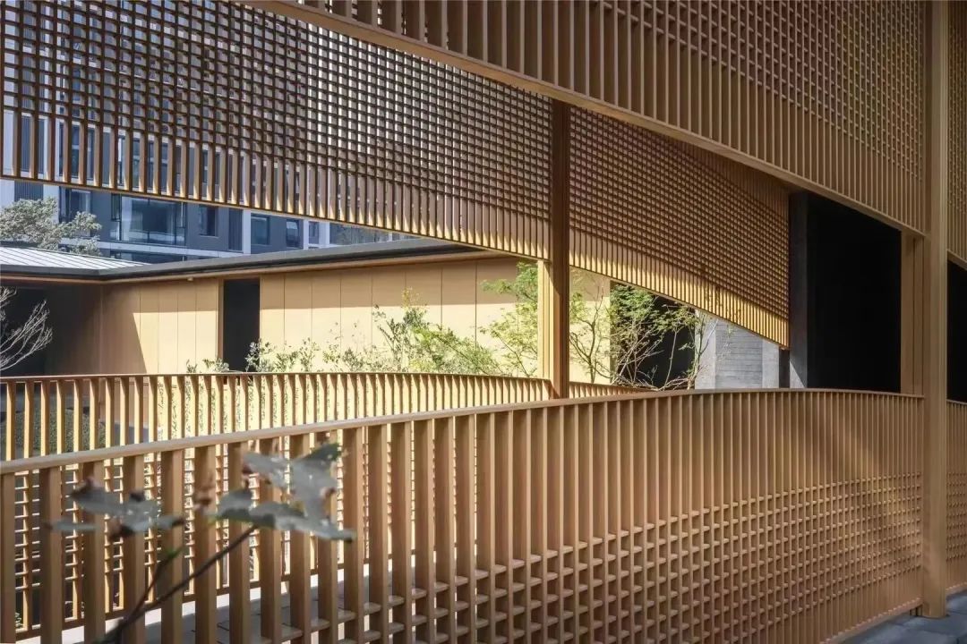 金沙操盘 | 成功经验：从河南火到全国各地（实地考察+主题演讲）-39