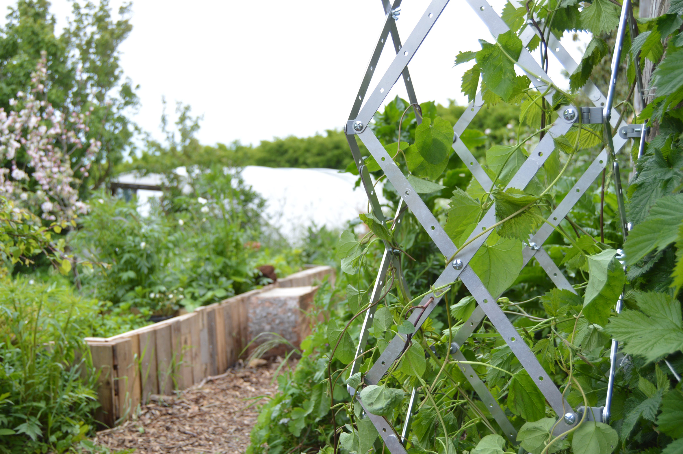 秘密地下工厂 | 大学生为环保组织设计总部-148