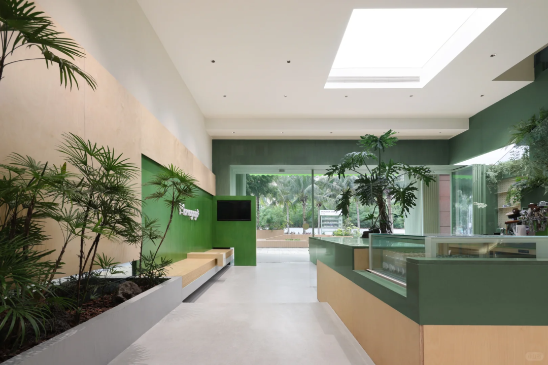 海南▶Momogogo人宠都市绿洲——毛孩子的友好综合空间-16