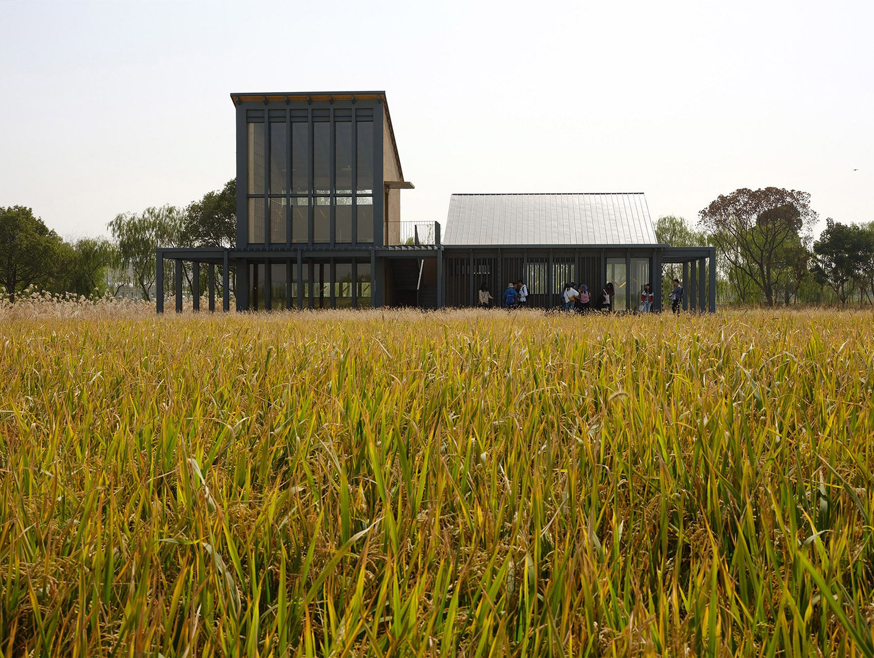 乌镇谭家湾稻田书局，浙江 / 东维建筑-20