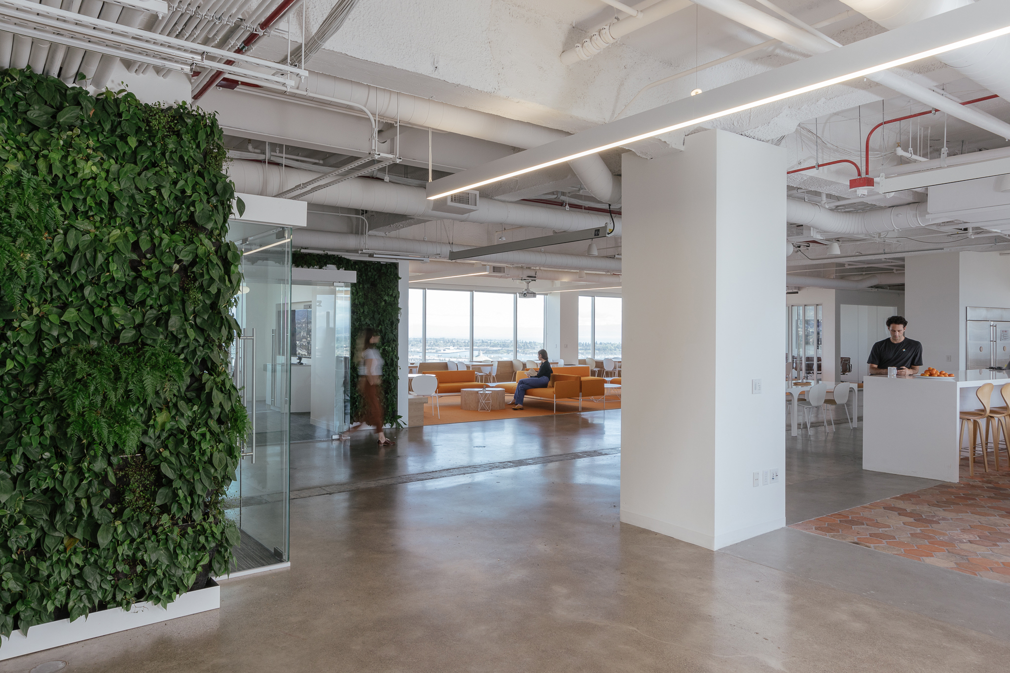 把自然搬进办公室-2