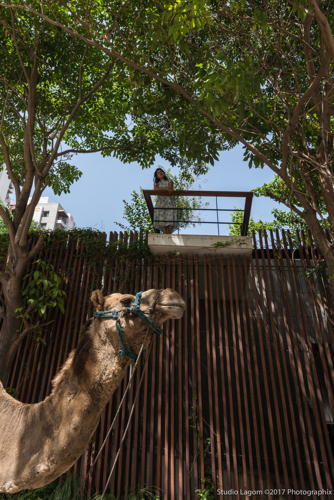 Skewed House  Studio Lagom-67