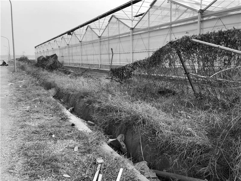 高技术与高颜值的京东"未来“植物工厂-12