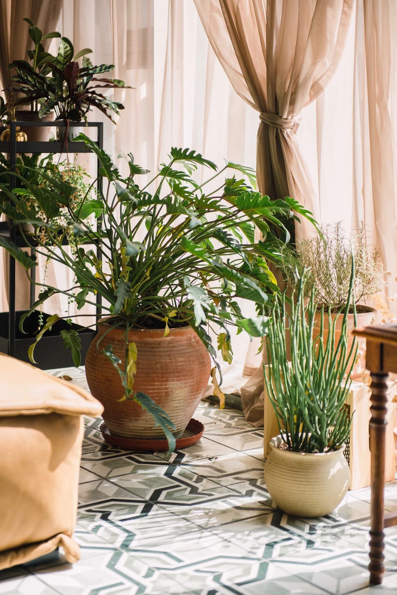 4 个都市人的多彩居家生活丨中国成都丨宅二三-60