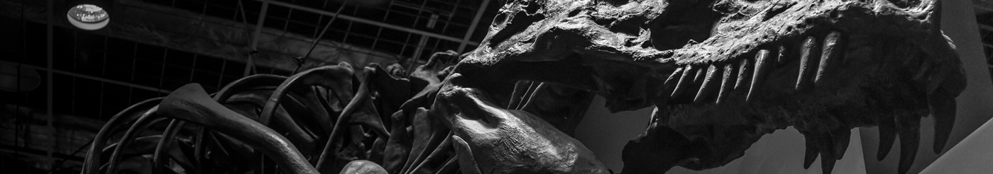 Haus Hostel 旧屋改造背包客之家丨泰国清迈丨Pantang Studio-0