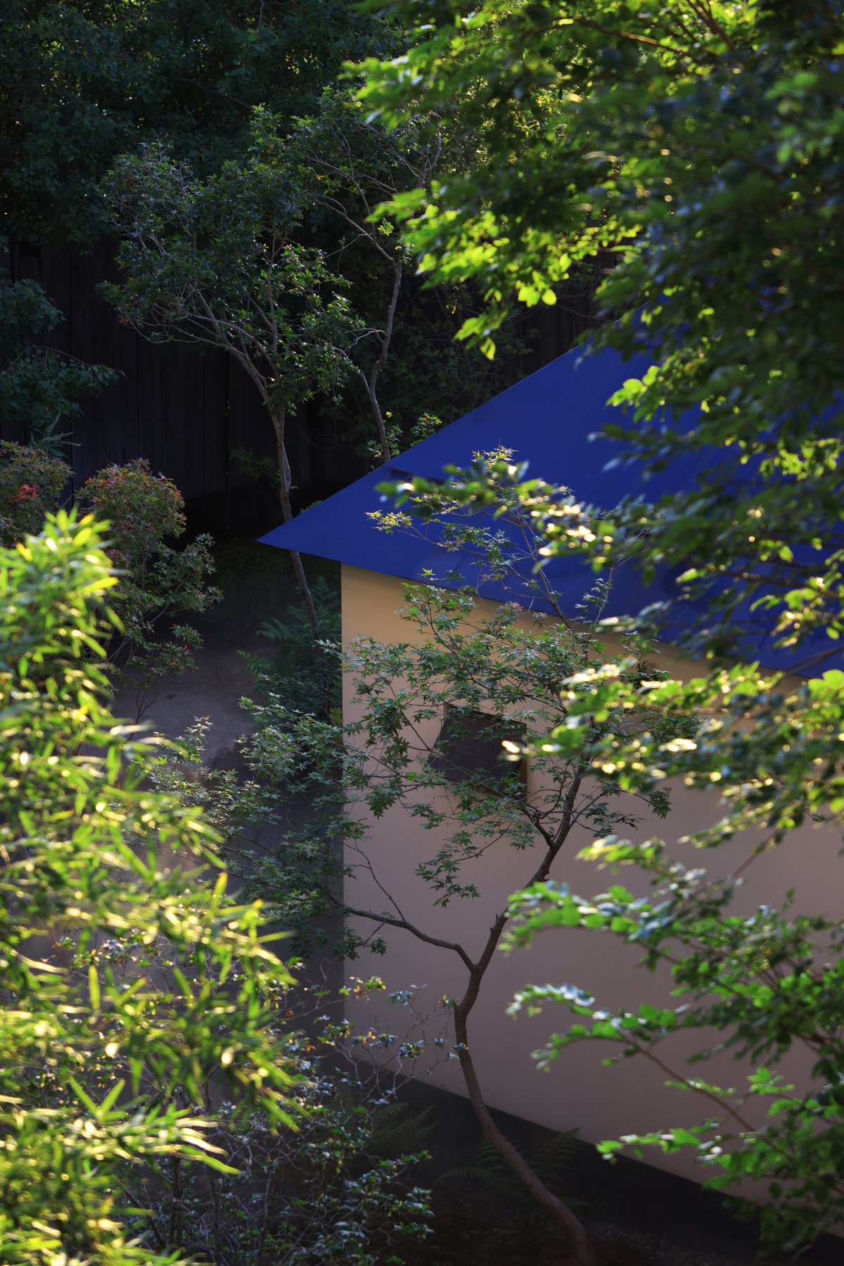 叽叽喳喳丨中国厦门丨听任建筑-3