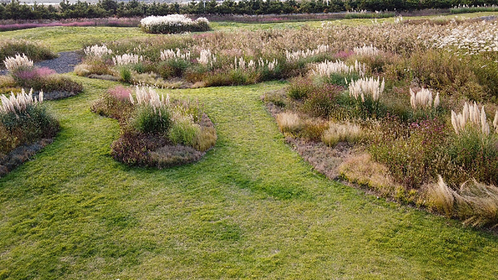 多岛海野草公园丨中国日照丨孔祥伟工作室-123