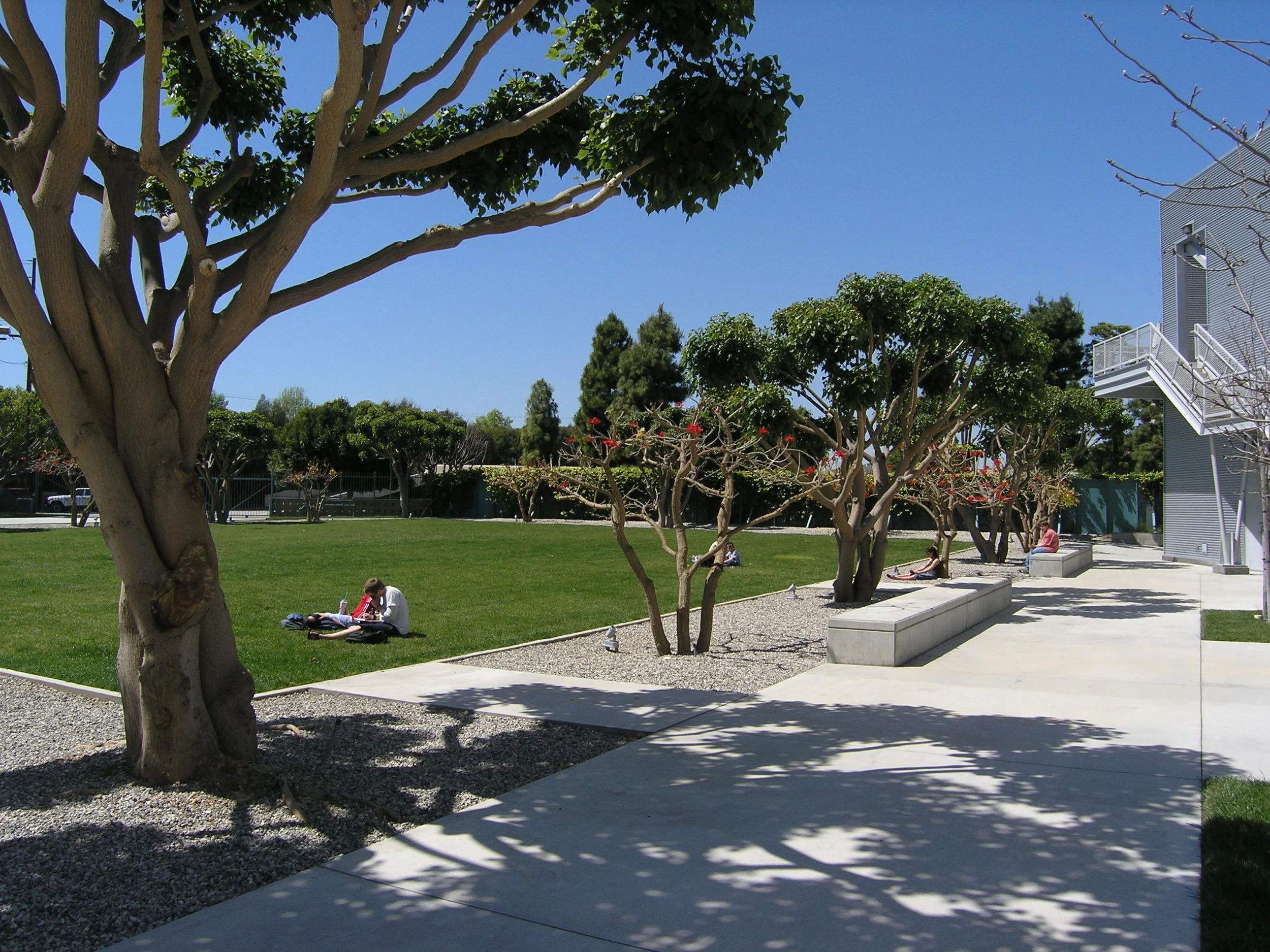 丨美国洛杉矶-18