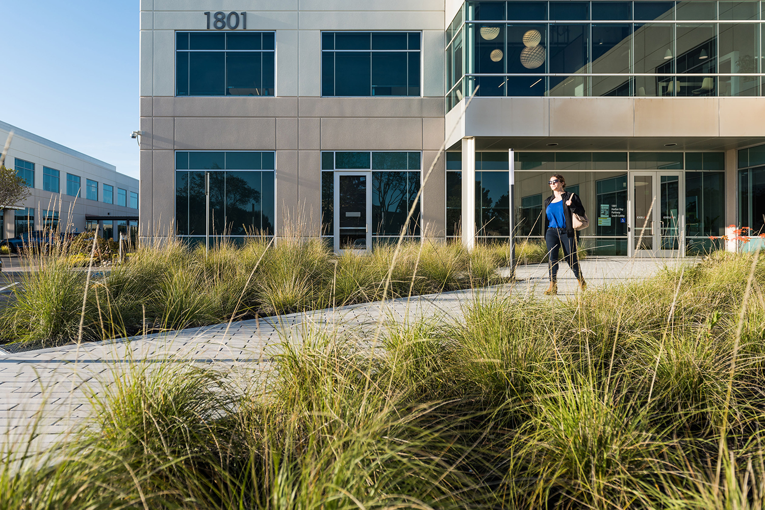 美国Exelixis行政总部和行政大楼周围景观-20