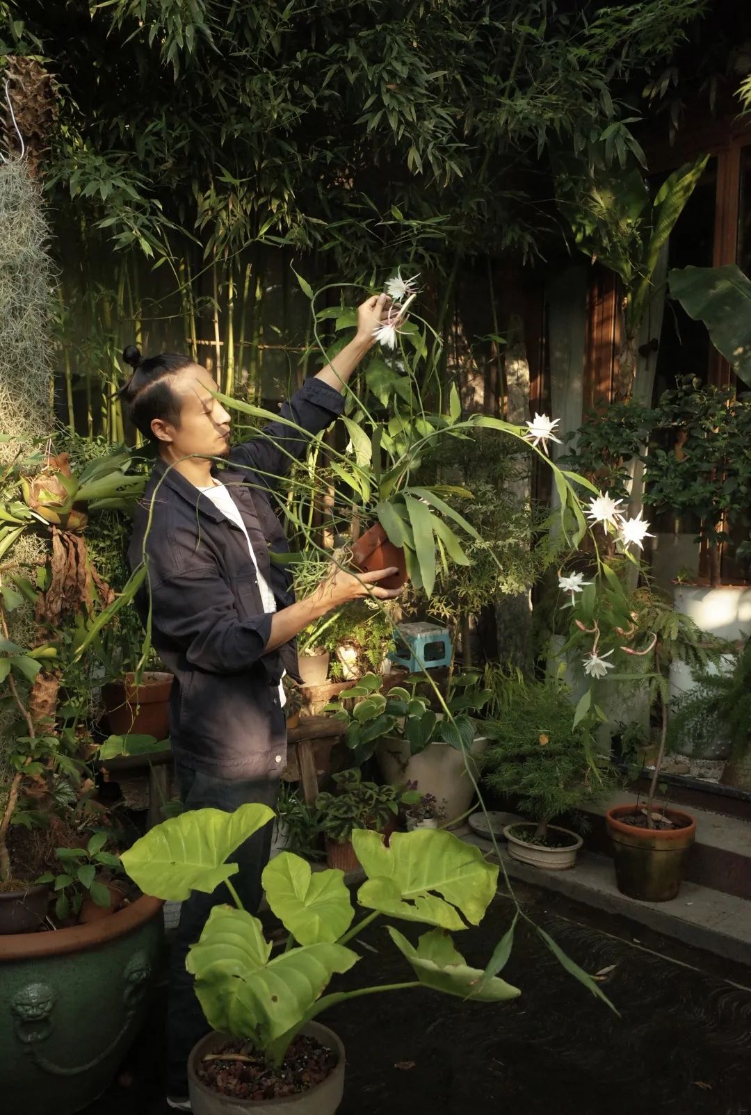 绿意盎然之家 · 北京四合院改造设计丨中国北京-94