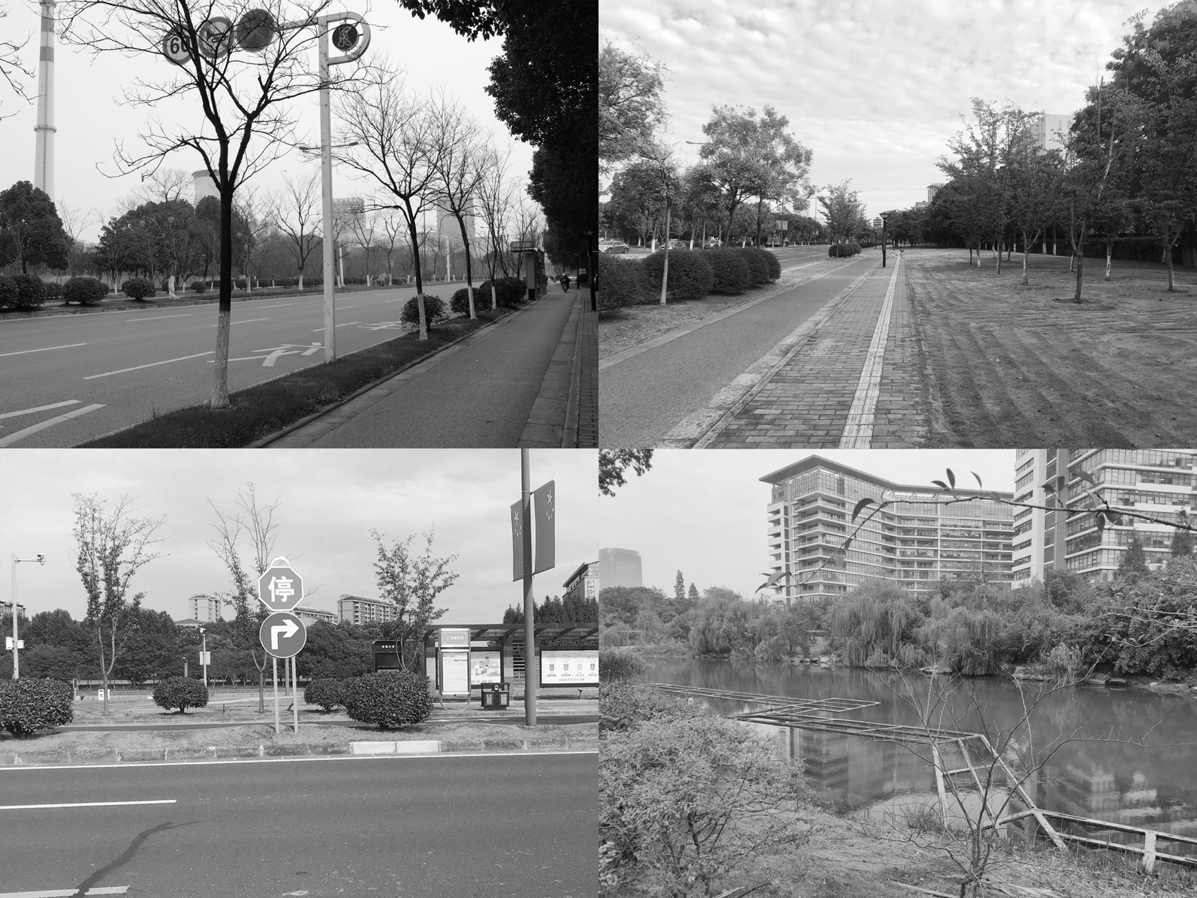 无锡菱湖大道沿线景观提升丨中国无锡丨MYP迈柏-189