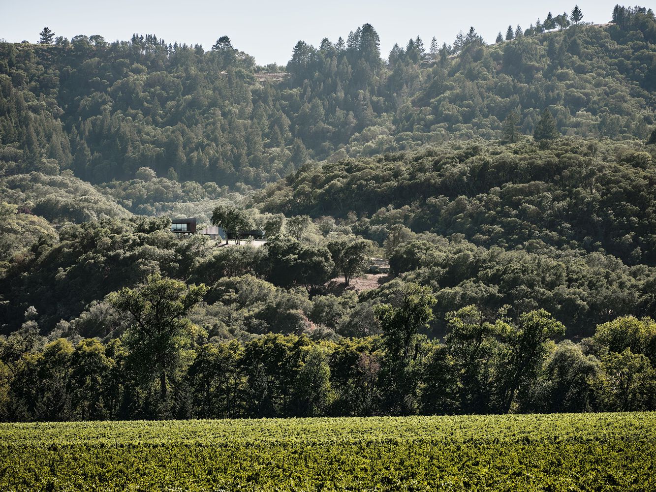 Madrone Ridge 别墅丨美国加利福尼亚丨不详-46