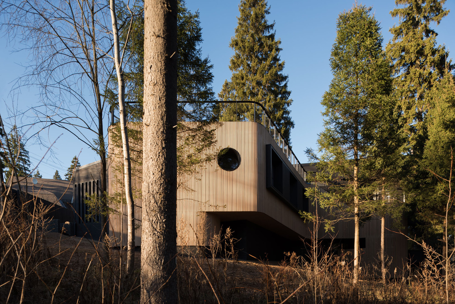 俄罗斯莫斯科 Oblast 老松树环绕的生态家园-62