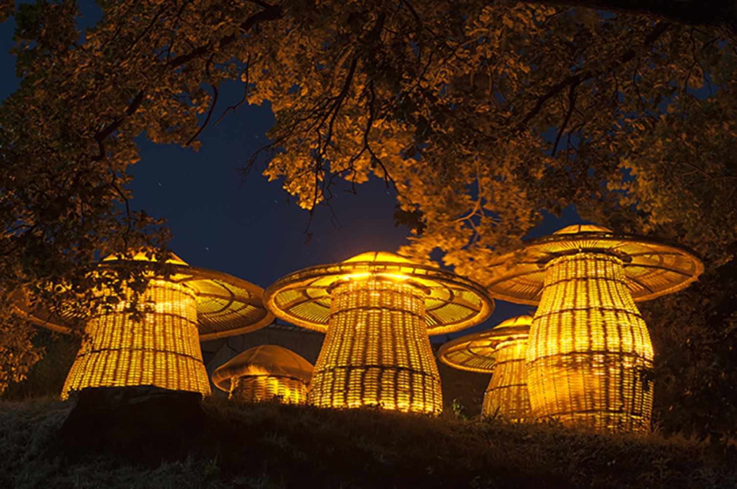 法国花园中的童年魔法-40