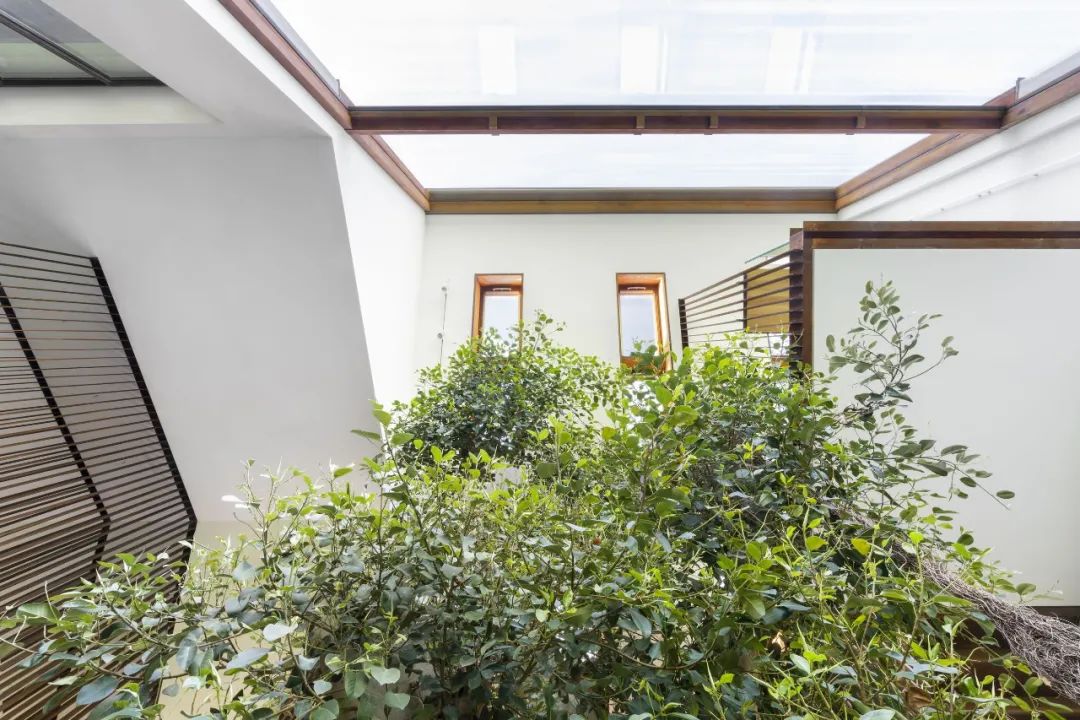 绿色谷仓丨意大利帕尔马丨CRACarlo Ratti Associati-30