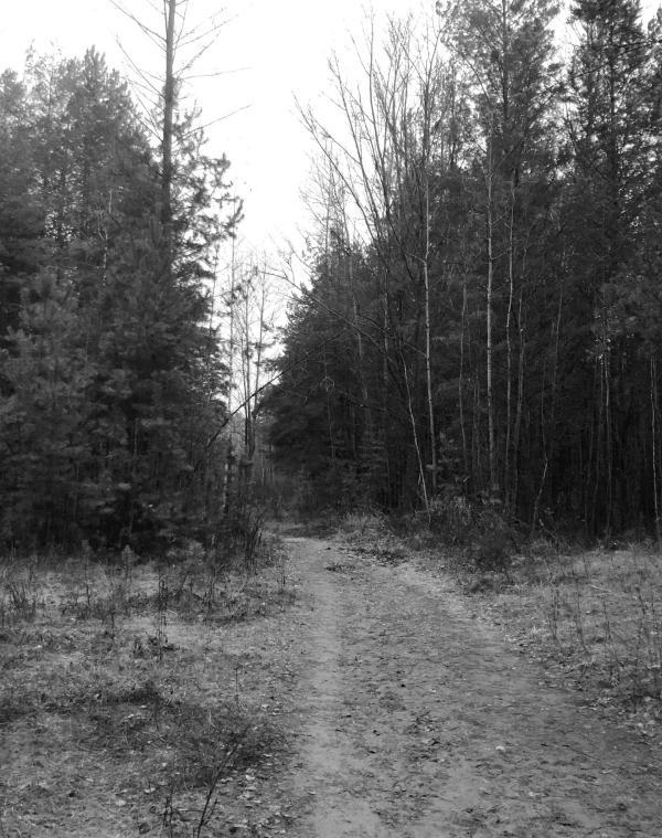 Парк Прибрежный(滨河公园)丨俄罗斯-17