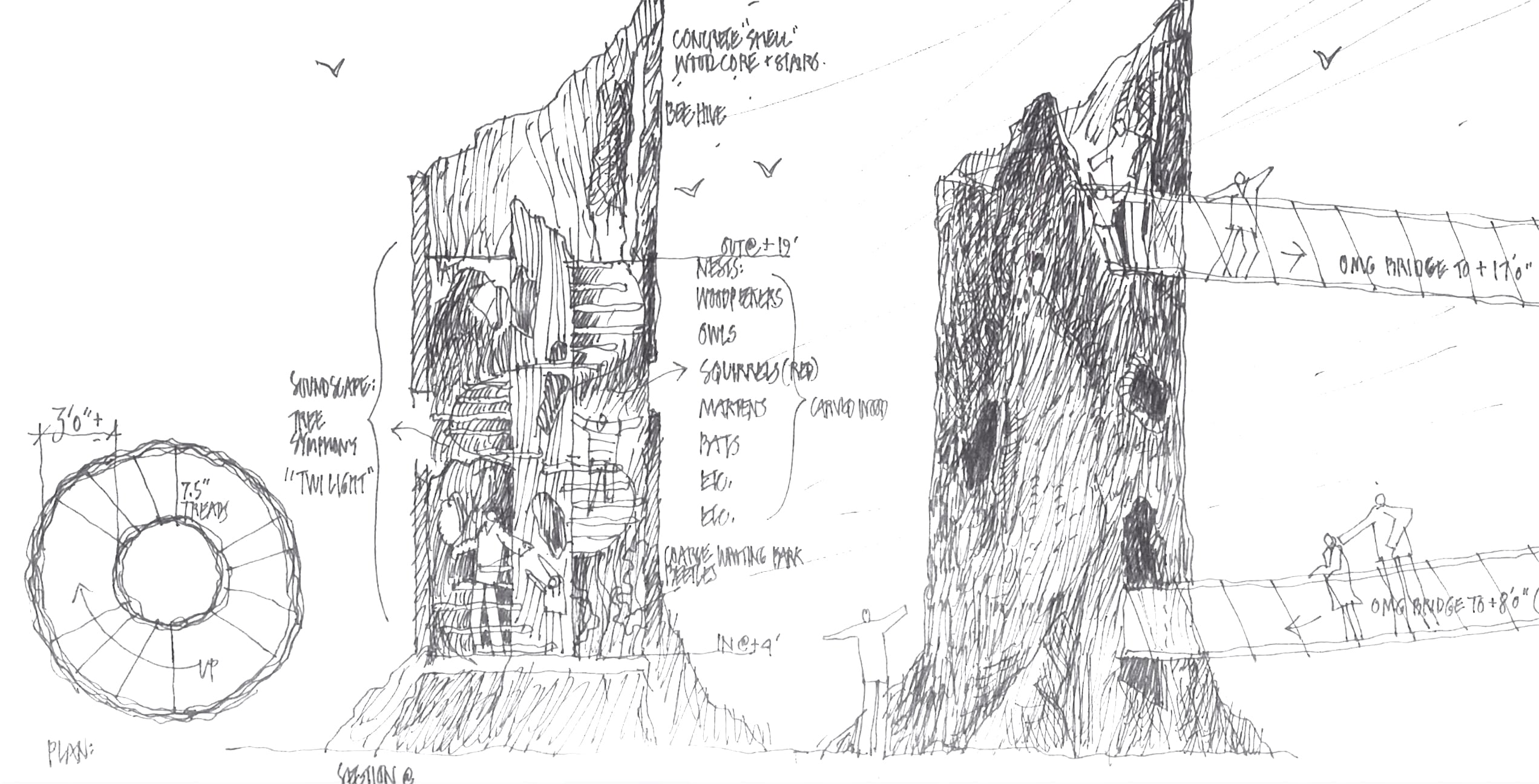 野性漫步 · 融入自然的高空步道设计-20