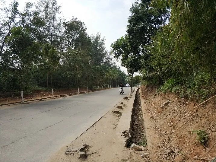 广州新惠路海绵城市道路建设丨中国广州丨GZPI-24