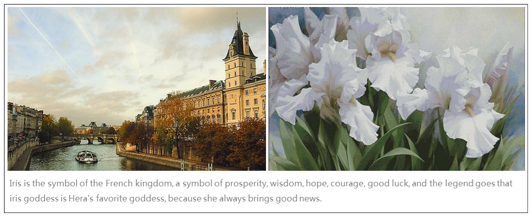 巴黎风尚鸢尾传世墅家-2