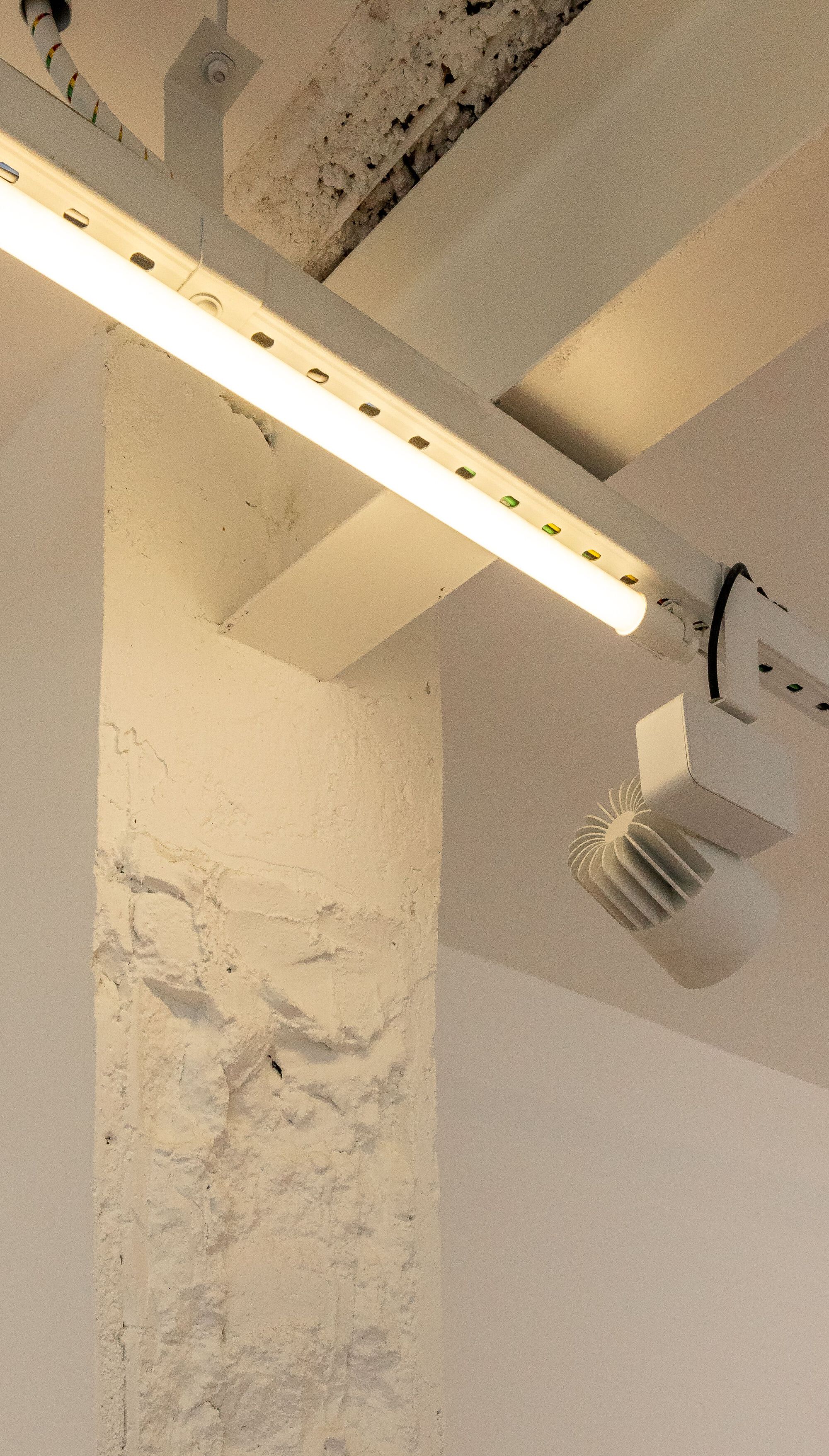 Gentil Carioca 画廊丨巴西圣保罗丨Canoa Arquitetura-42