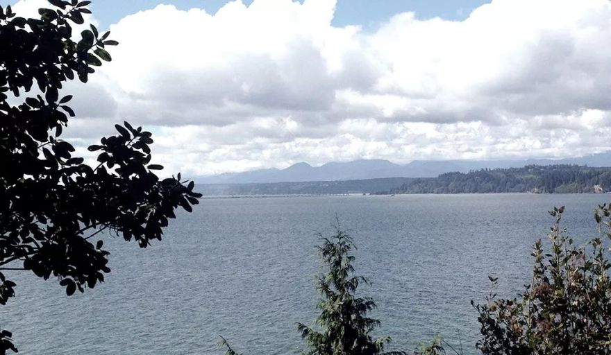 森林中的宁静隐居,对话自然之美-35