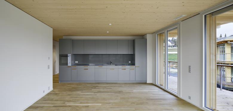 新建筑住宅综合体 Sonnenfeld丨瑞士-6