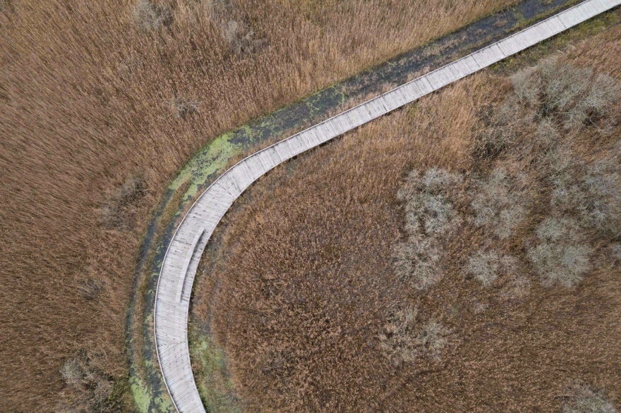 阿马格自然公园游客参观点丨丹麦哥本哈根丨ADEPT,LYTT Architecture-11