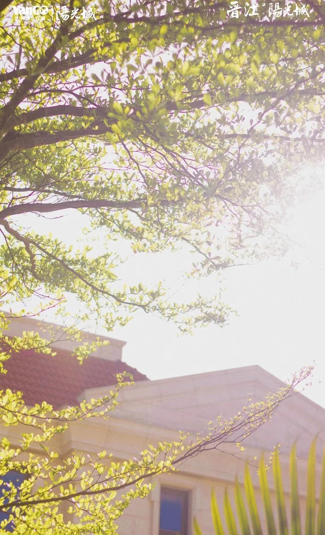 晋江阳光城别墅丨中国泉州丨象上空间设计-6