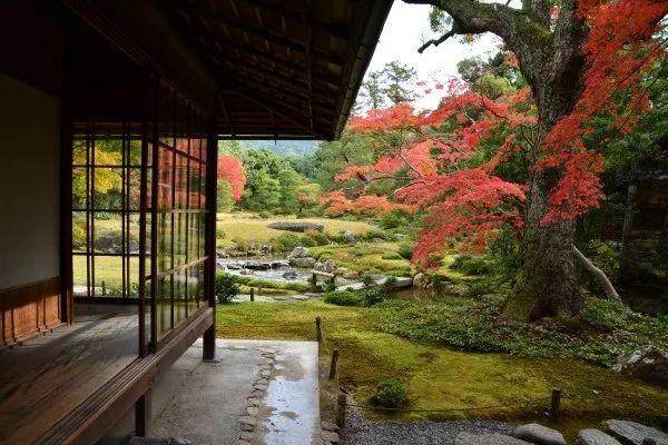 日本最美20个庭院，你更中意哪一个？-59