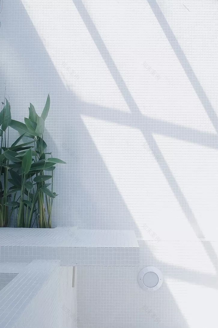 别止·南山 | 阳光简约的复合空间设计-39