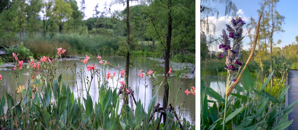 昆山市城市生态森林西入口丨中国鞍山丨PLAT Studio-71