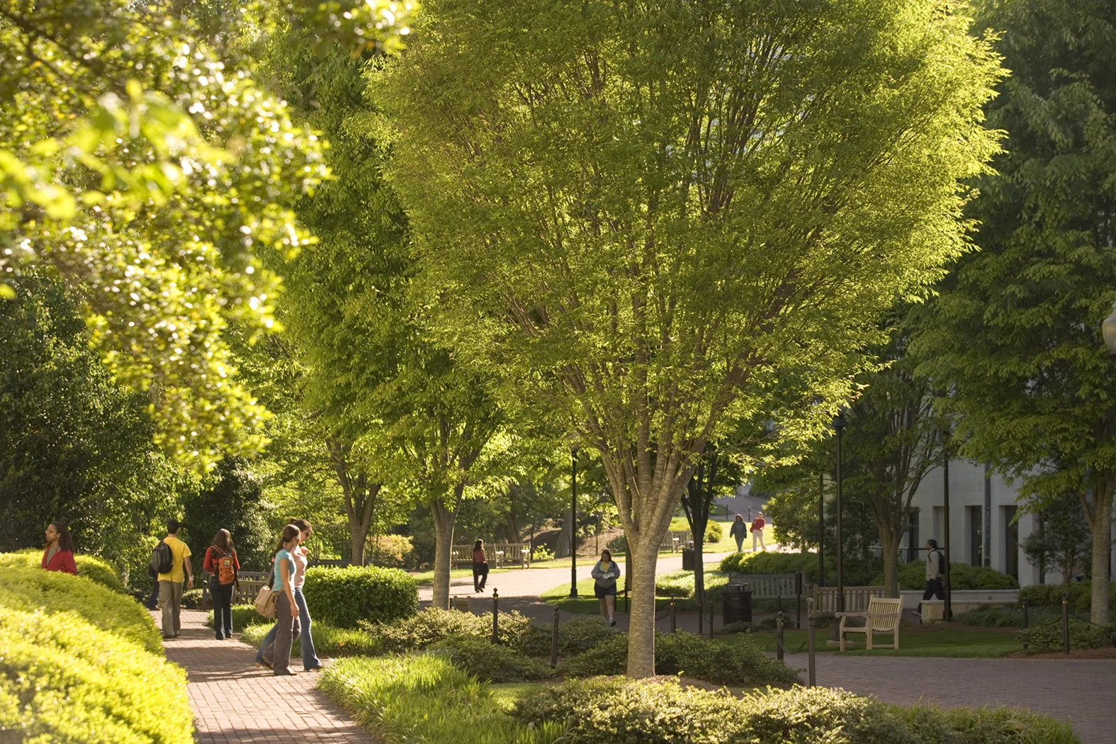 埃默里大学总体规划丨United StatesAtlanta丨HGOR-4