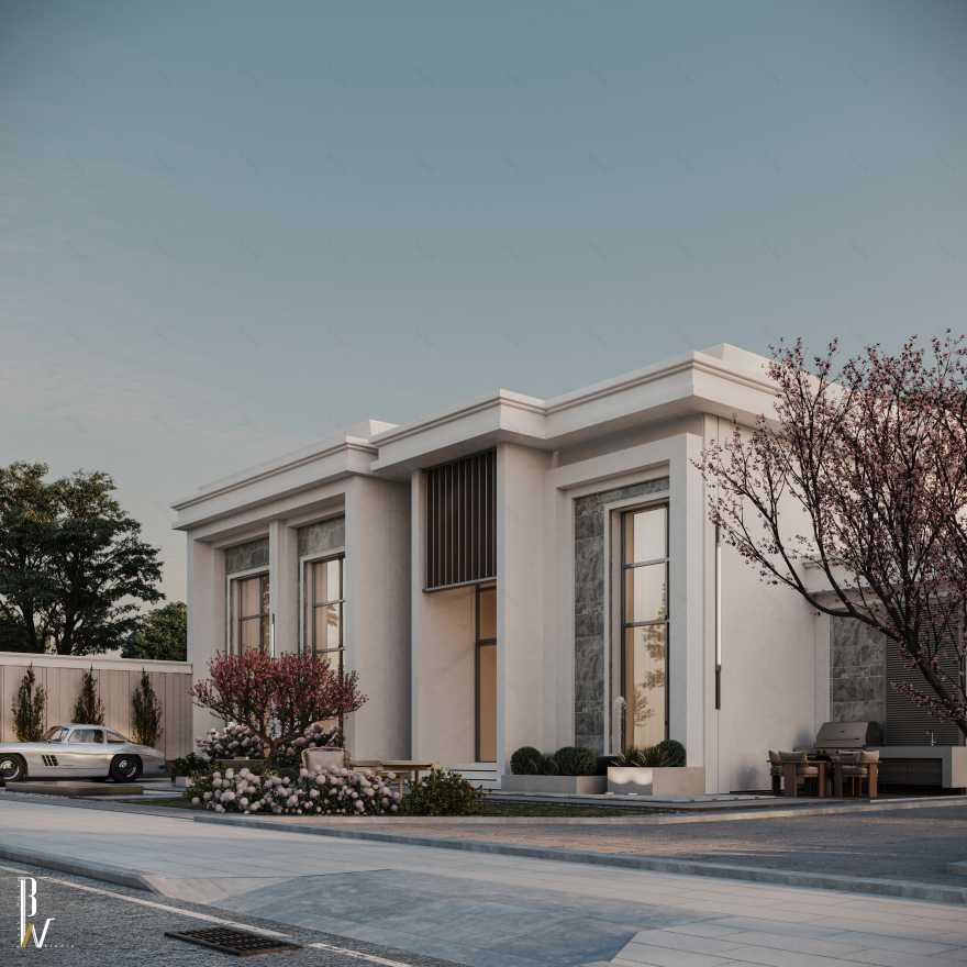 别墅正面丨阿联酋丨Black N White-15