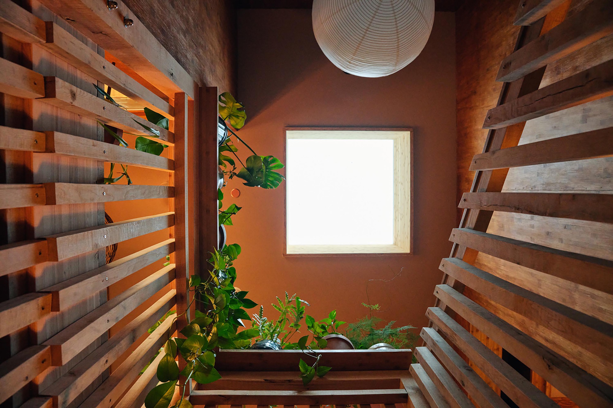 布朗之家丨美国华盛顿丨BLDUS-41