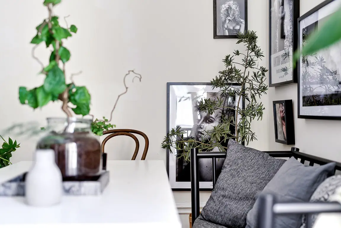 灰度空间 | 简约 Zen 生活的艺术-5