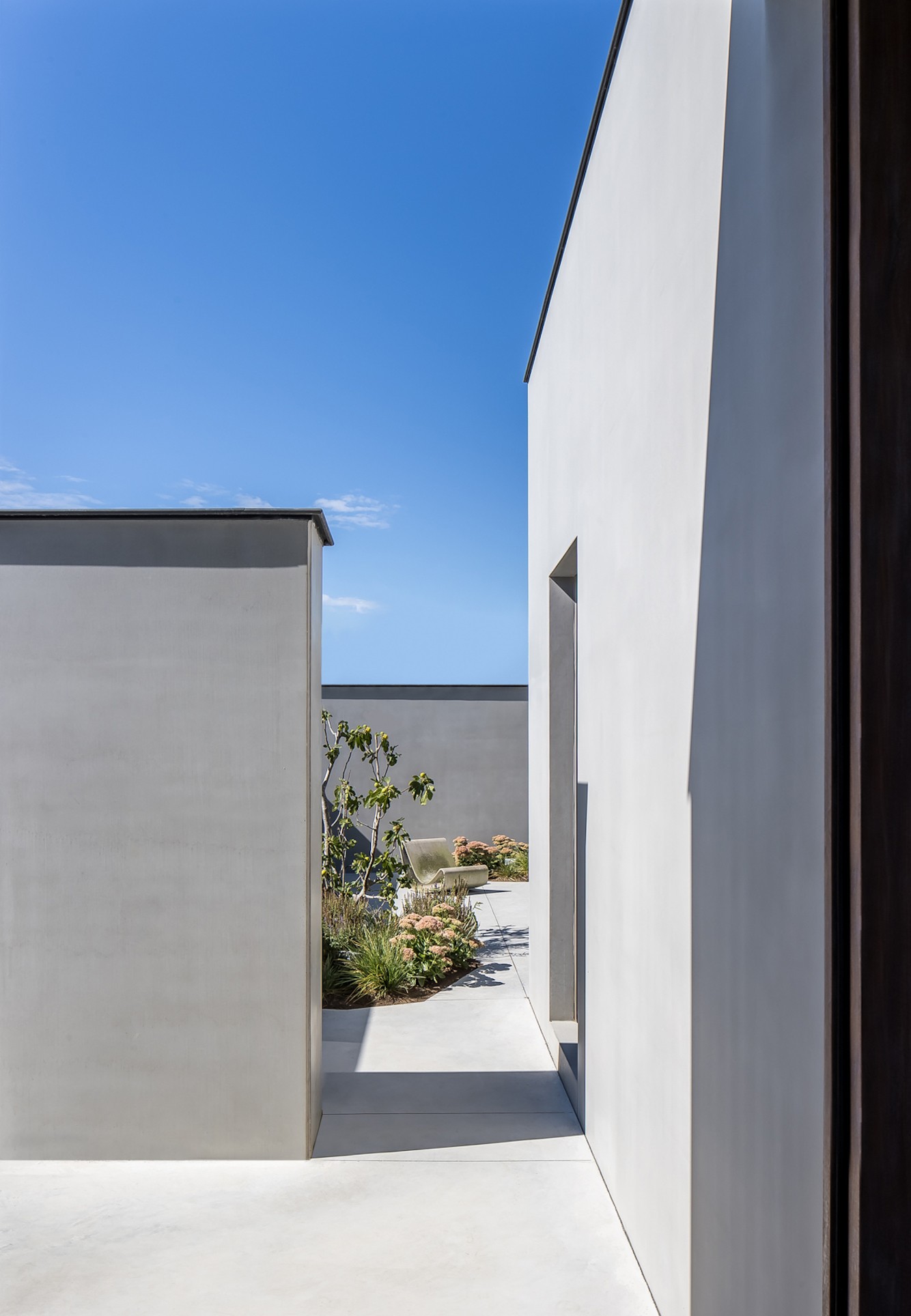 Pieter | 远离大城市的宁静绿色-1